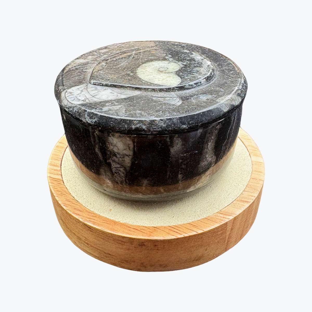 Boîte rangement en orthoceras fossiles marin