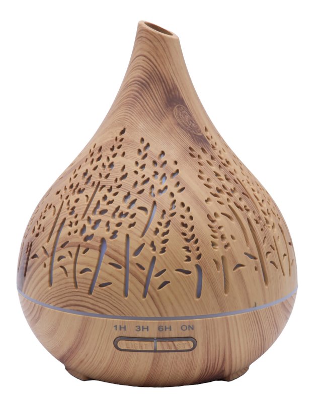 Diffuseur HE Vase Roseaux 21cm