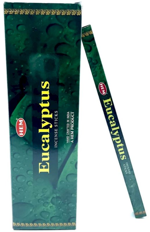 Encens HEM Eucalyptus 10g