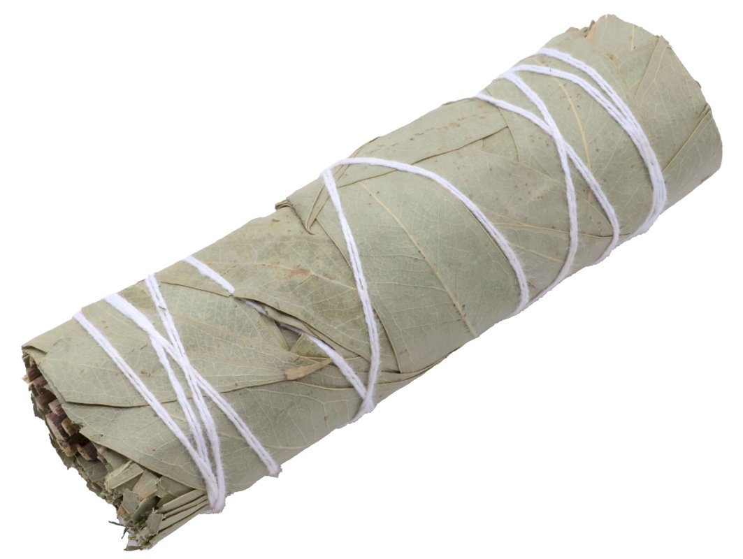 Eucalyptus Fagot 30g 10cm