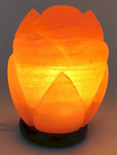 Lampe de Sel Himalaya Tulipe 3KG