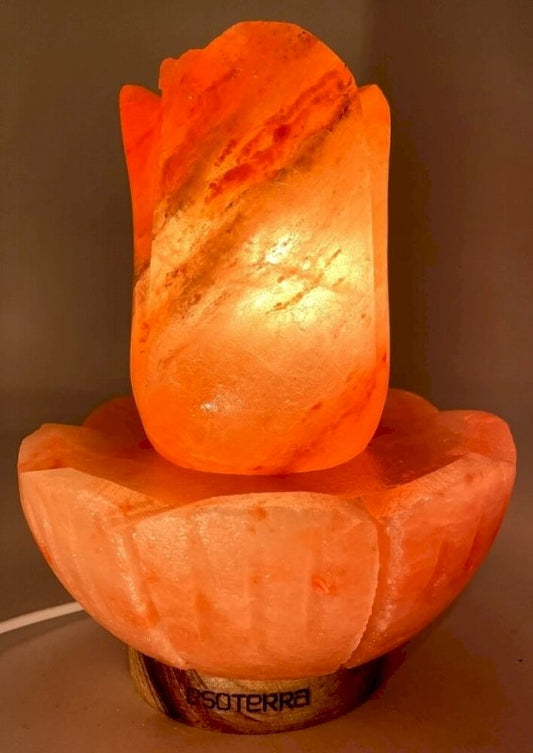 Lampe de Sel Lotus — 5,5 kg