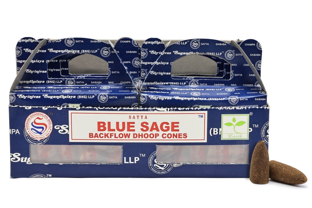 Backflow Cônes Satya Sauge Bleue 6pcs