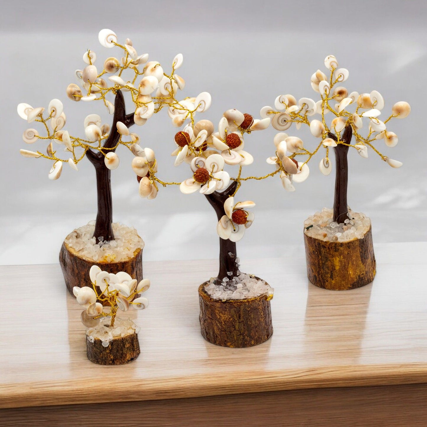 Lot de 4 arbres Gomati Chakra - photo 2