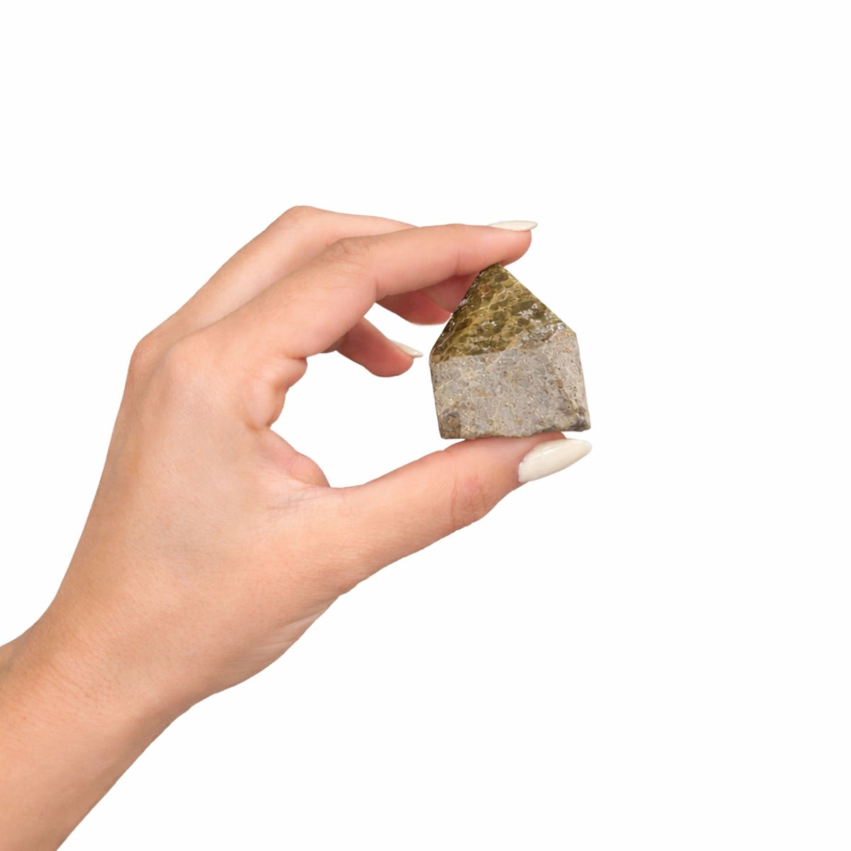Pointe polie en Épidote qualité A (lot de 5 à 6 pièces)