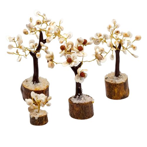 Lot de 4 arbres Gomati Chakra