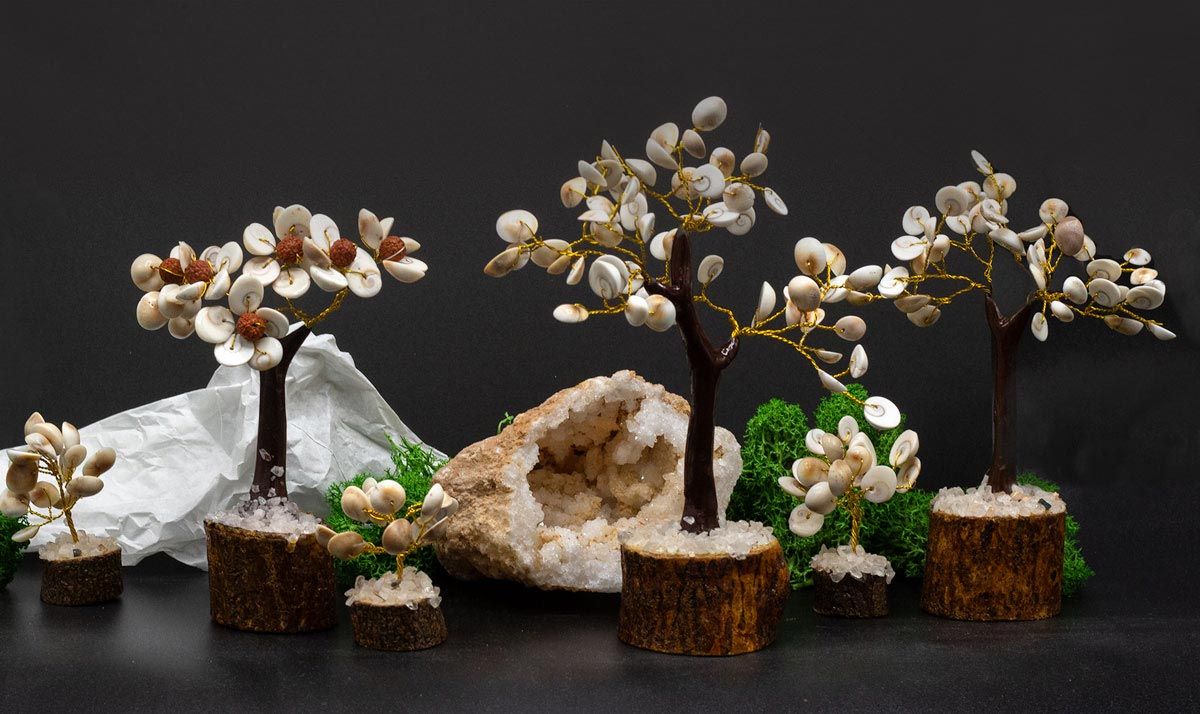 Lot de 4 arbres Gomati Chakra - photo 3