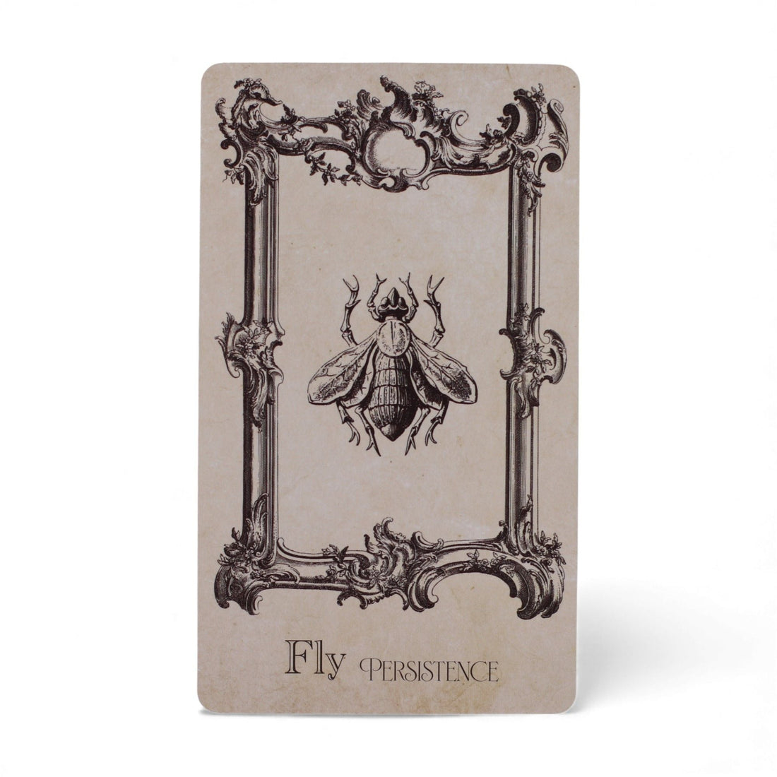 Jeu d'oracle divinatoire de 40 cartes — l'art du tirage à la Lenormand