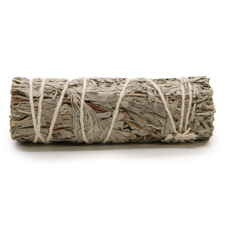 Bâton de Sauge Bleue (Salvia azurea) 10 cm - Purification