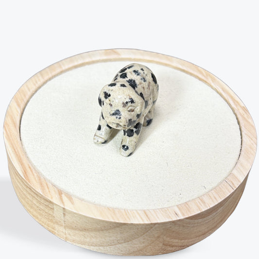 Animaux Jaspe Dalmatien