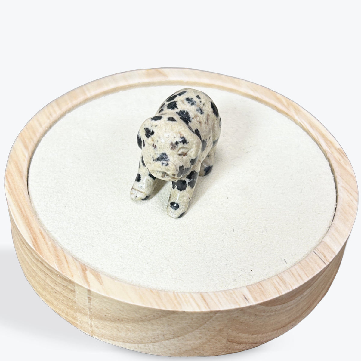 Animaux Jaspe Dalmatien