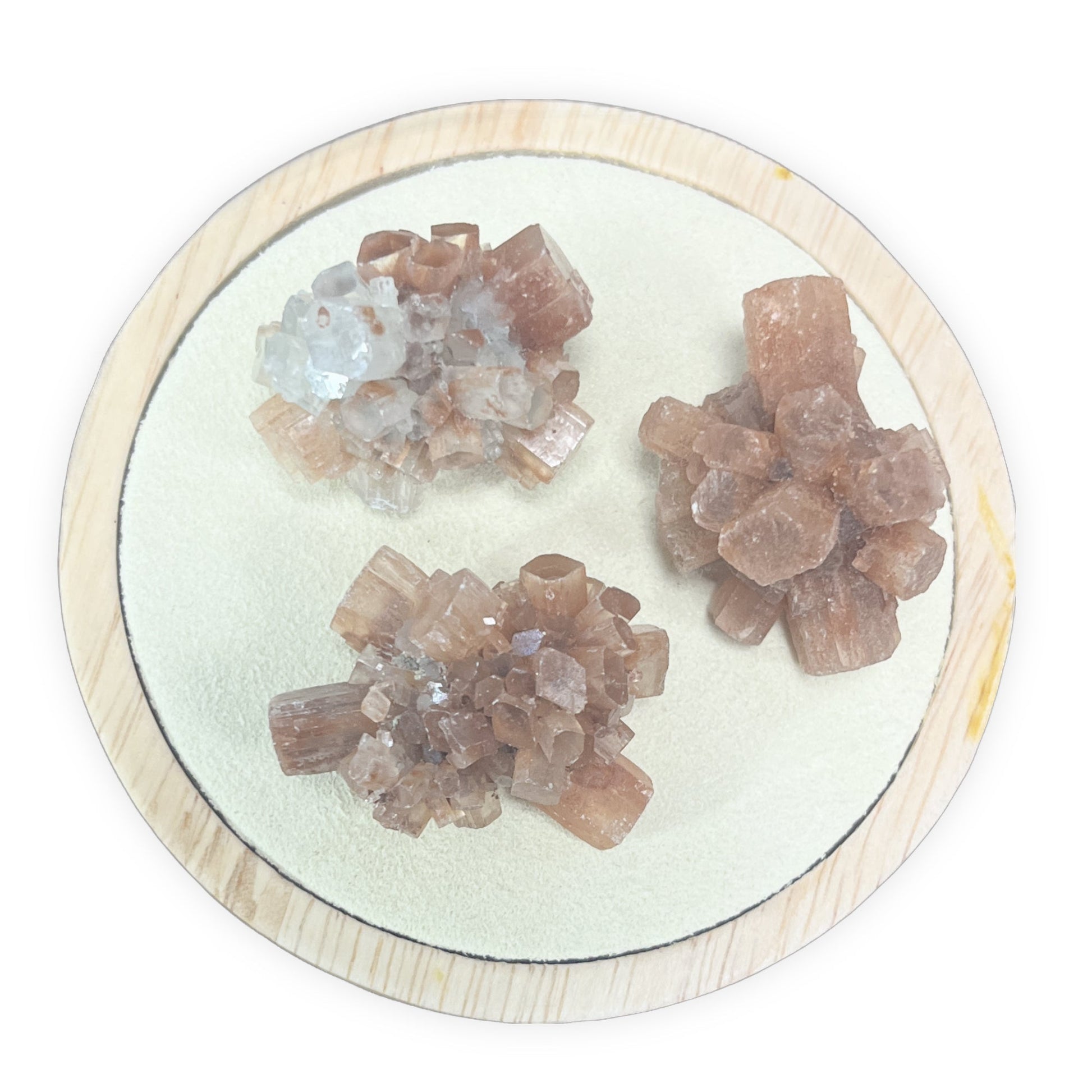Aragonite Brutes - 3