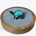 Tortue avec Chrysocolle en Résine