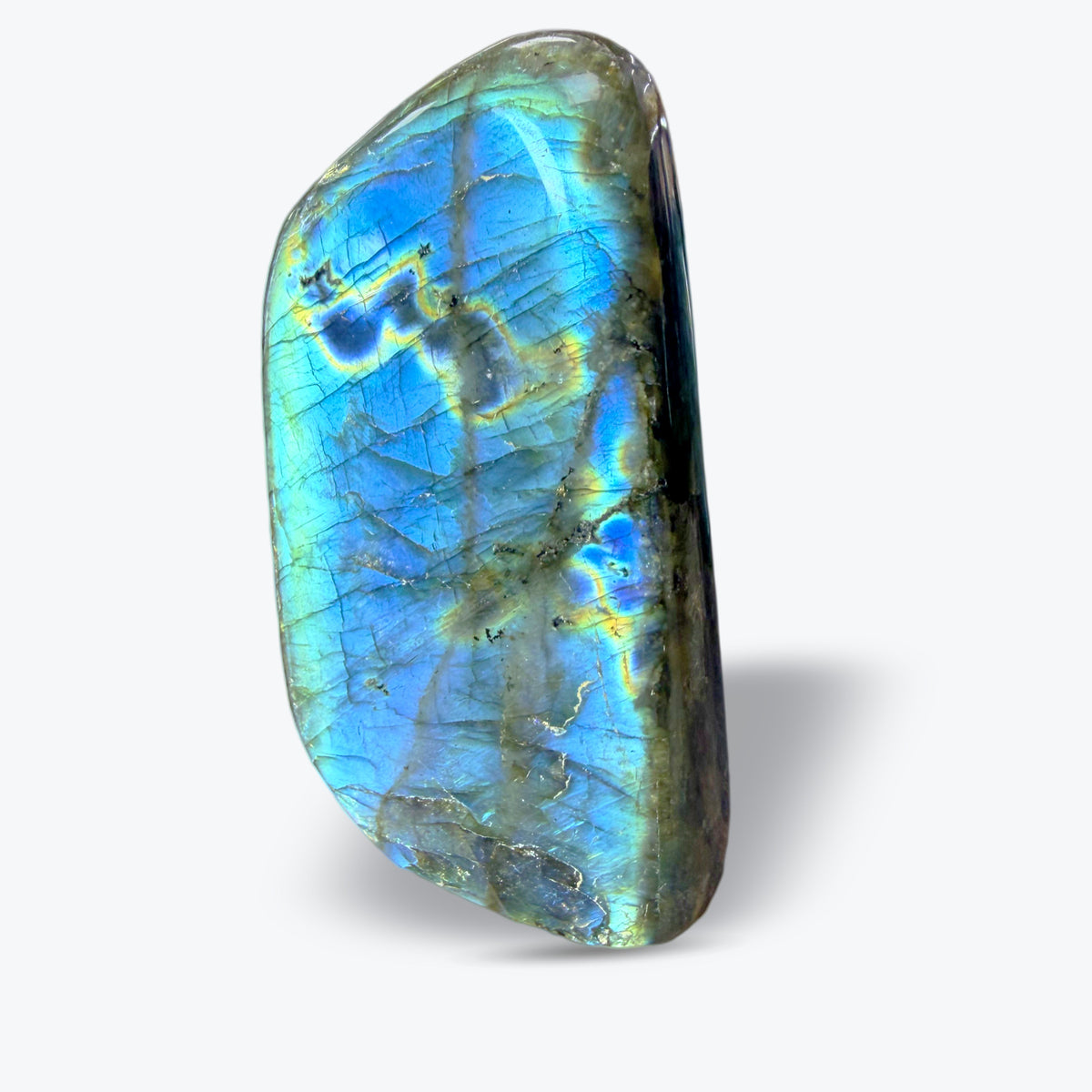 Pierre Polie en Labradorite Bleue Naturelle – forme libre – 3 tailles – Madagascar - Pièce unique