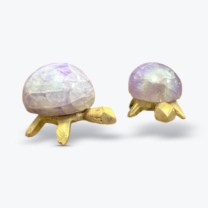 Tortue Décorative en Pierre Naturelle de Madagascar – Carapace en Pierre Polie | 15gr - 3x2cm