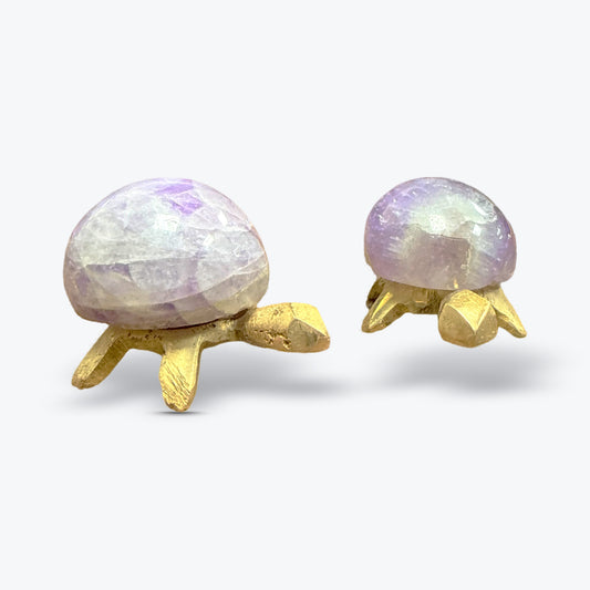 Tortue Décorative en Pierre Naturelle de Madagascar – Carapace en Pierre Polie | 15gr - 3x2cm