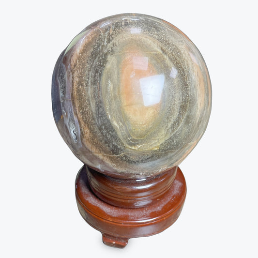 Sphère Bois Fossilisé