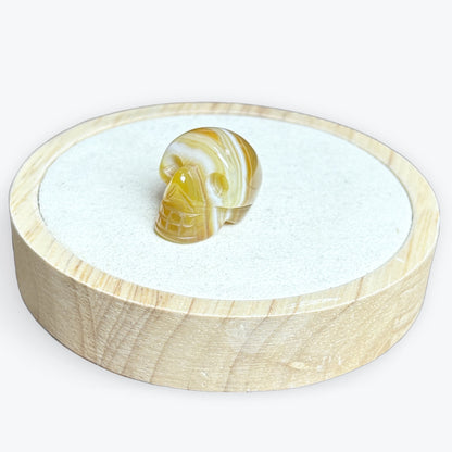 Crâne 3x2cm
