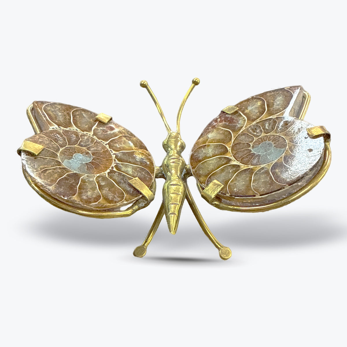 Papillon en Ammonite Naturelle polie, corps, Madagascar - Pièce unique | 68gr - 9x6,5cm