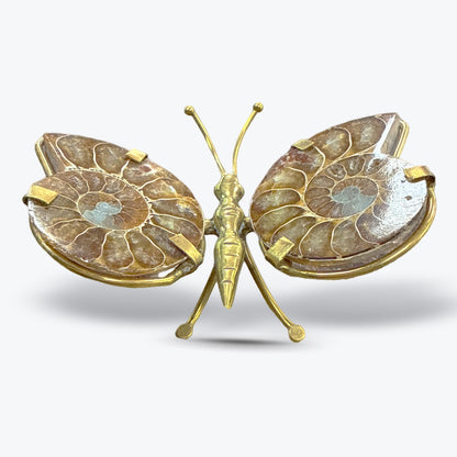 Papillon en Ammonite Naturelle polie, corps, Madagascar - Pièce unique | 68gr - 9x6,5cm