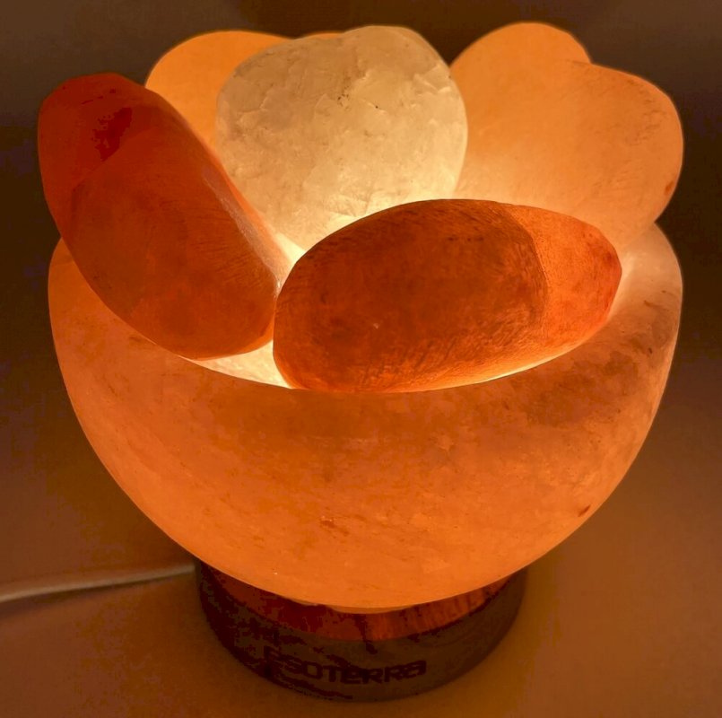 Lampe de Sel Himalaya Bol & Coeurs 3.5KG