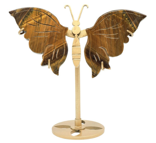 Papillon Oeil de Tigre sur socle 14cm