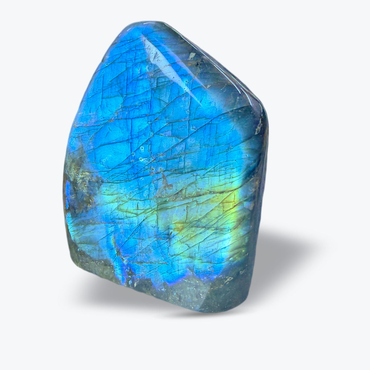 Pierre Polie en Labradorite Bleue Naturelle – forme libre – 3 tailles – Madagascar - Pièce unique