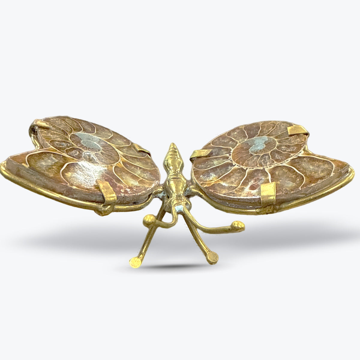 Papillon en Ammonite Naturelle polie, corps, Madagascar - Pièce unique | 68gr - 9x6,5cm