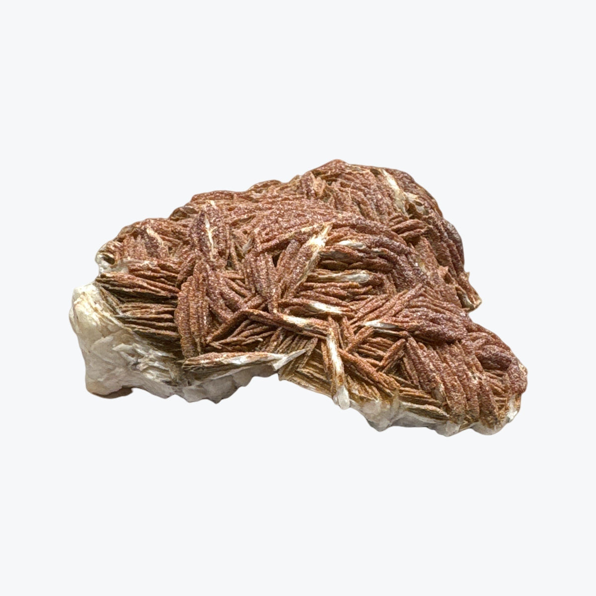 Barytine du Maroc, cristaux en lames brunes sur base blanche — pièce unique Tatum Cristal