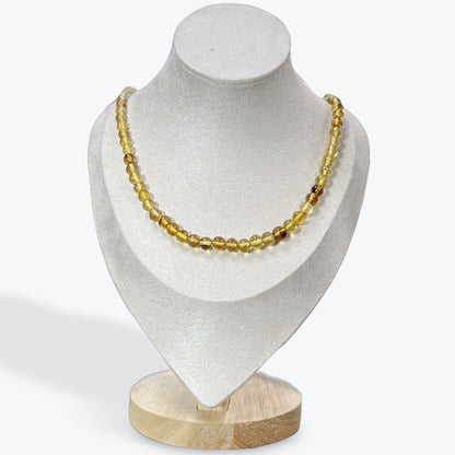 Collier Ambre Adulte