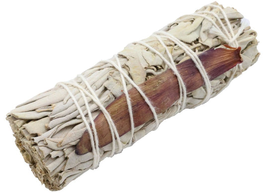 Sauge Blanche 'Dream Sage' Fagot 25g 10cm