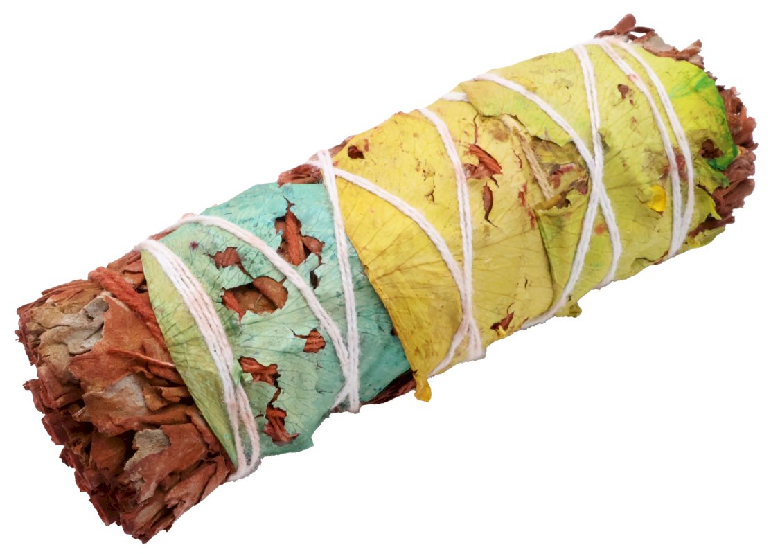 Sauge Sang de Dragon Florale 30g