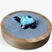 Tortue en Résine avec Turquoise