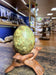 Oeuf de collection en serpentine - 140gr - 2
