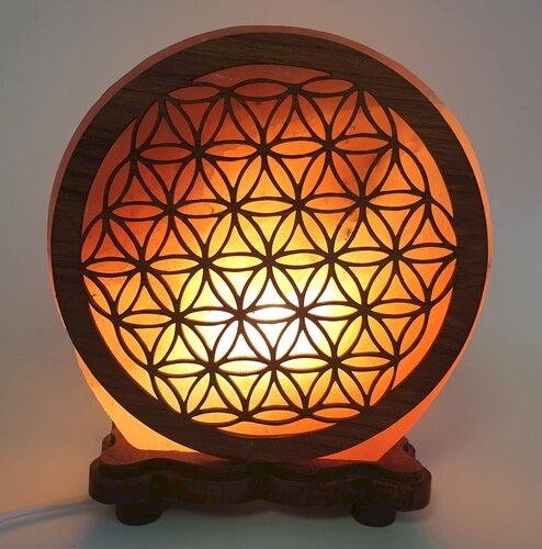 Lampe de Sel de l'Himalaya Sculptée 5 kg — Fleur de Vie