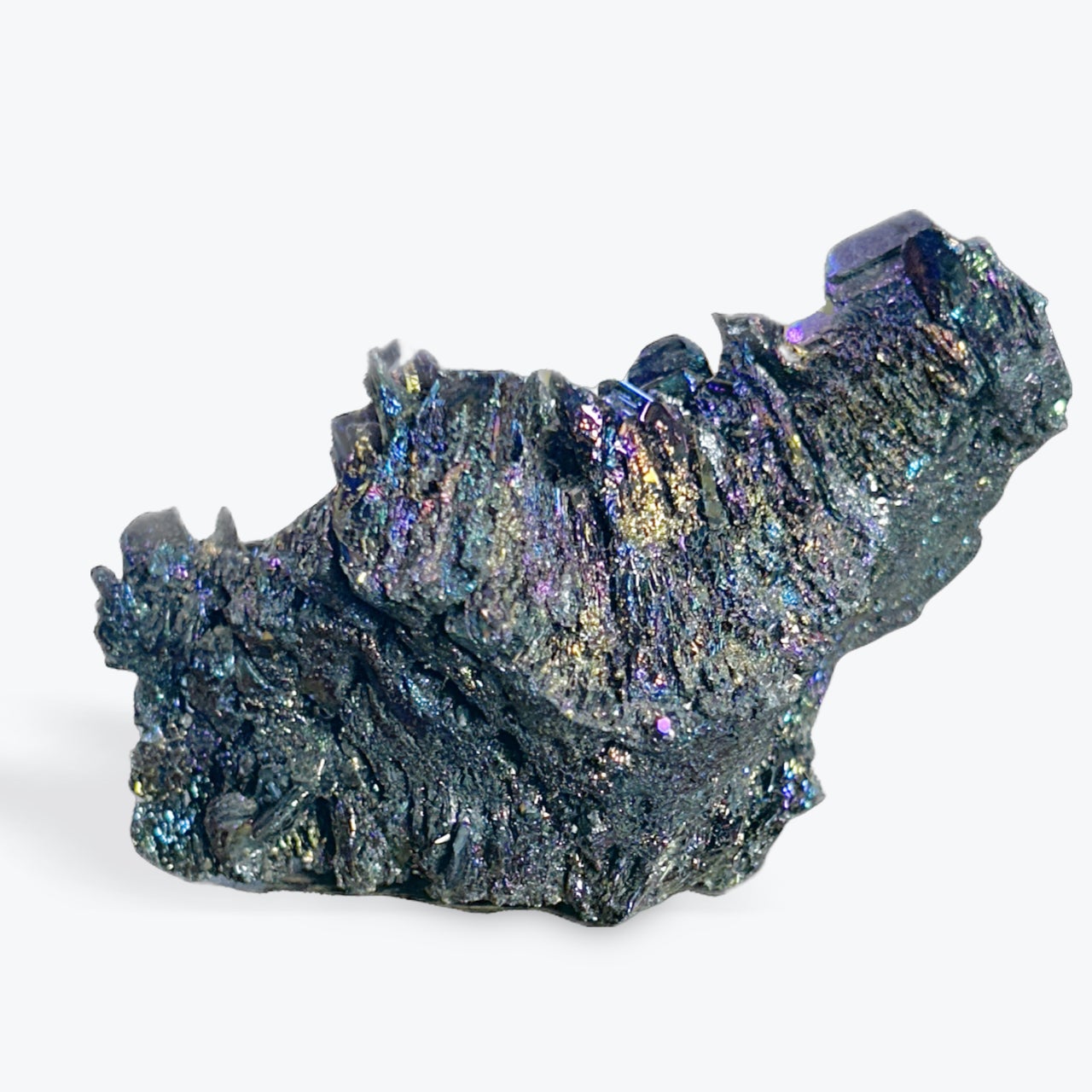 Carborundum Brute