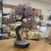Arbre en Amethyste XXL