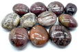 Bois Fossile 'A' Galets roulés 1KG