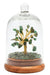 Arbre du Bonheur Aventurine Verte sous cloche 12cm