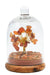 Arbre du Bonheur Cornaline sous cloche 12cm