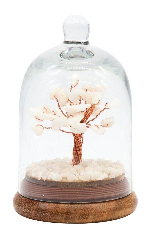 Arbre du Bonheur Jade Blanche sous cloche 12cm