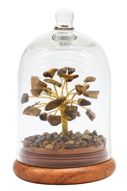 Arbre du Bonheur Œil de Tigre sous cloche 12cm