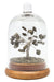 Arbre du Bonheur Pyrite sous cloche 12cm
