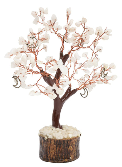 Arbre du Bonheur Jade Blanche + Lune