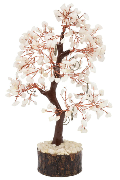 Arbre du Bonheur Jade Blanche + Lune