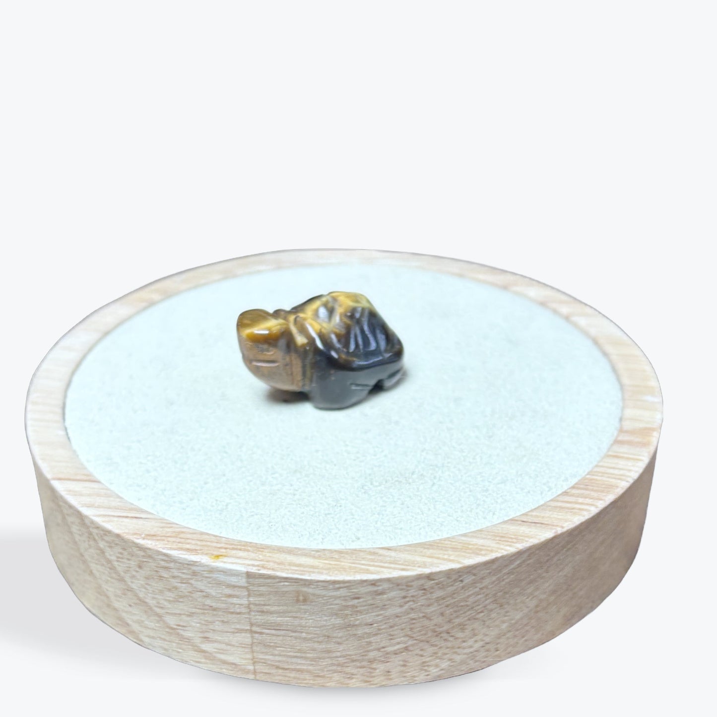 Tortue Oeil de Tigre