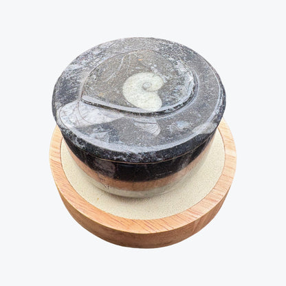 Boîte rangement en orthoceras fossiles marin