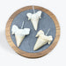 Pendentif Dent de requin - 4,5x3 cm