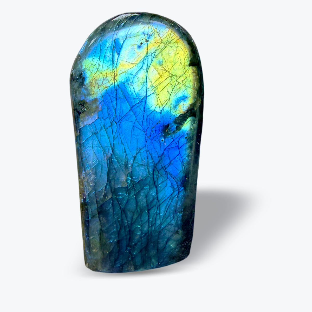 Pierre Polie en Labradorite Bleue Naturelle – forme libre – 3 tailles – Madagascar - Pièce unique