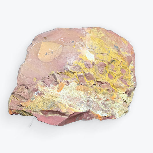 Grand Jaspe Mokaite Brut - 3
